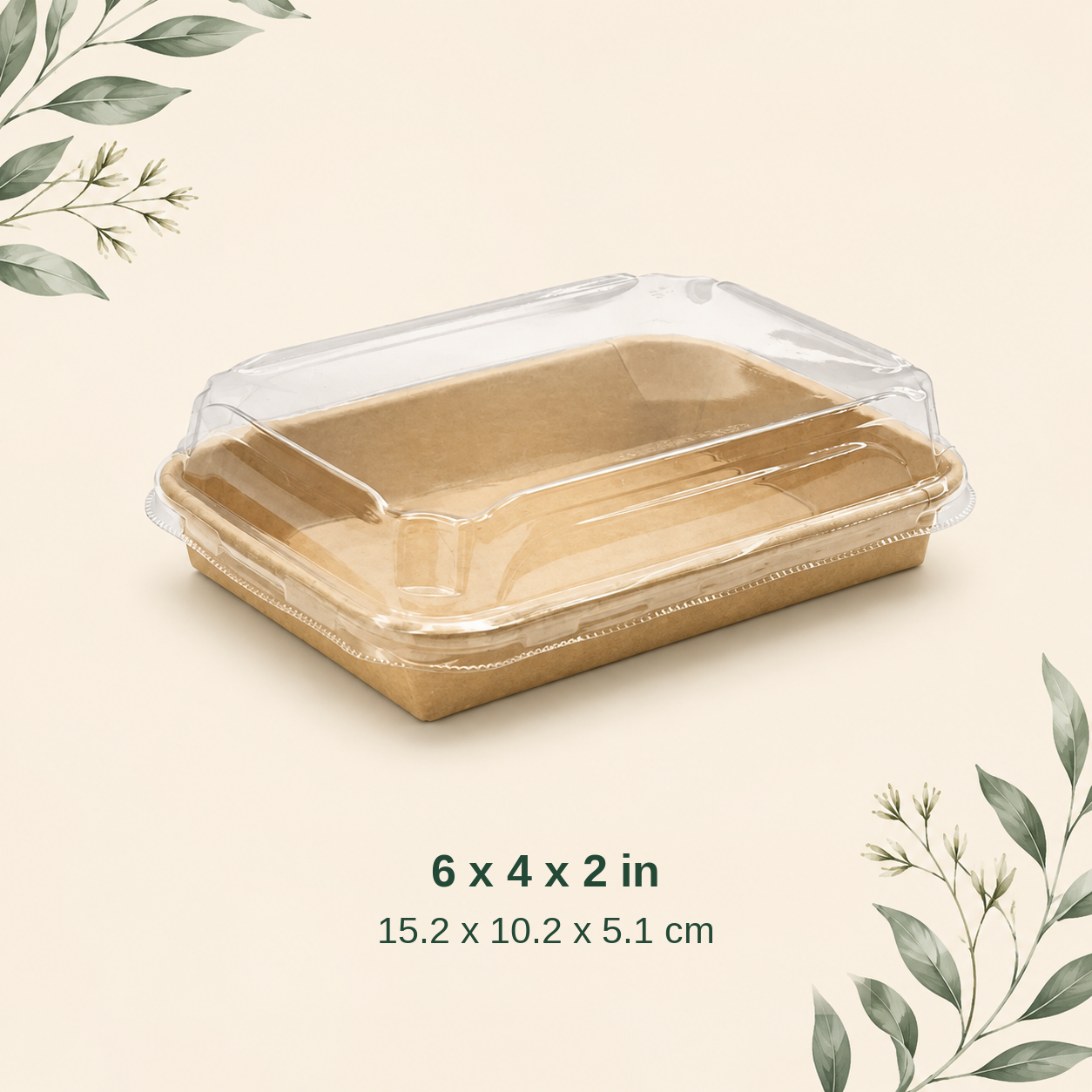 Kraft clear lid container