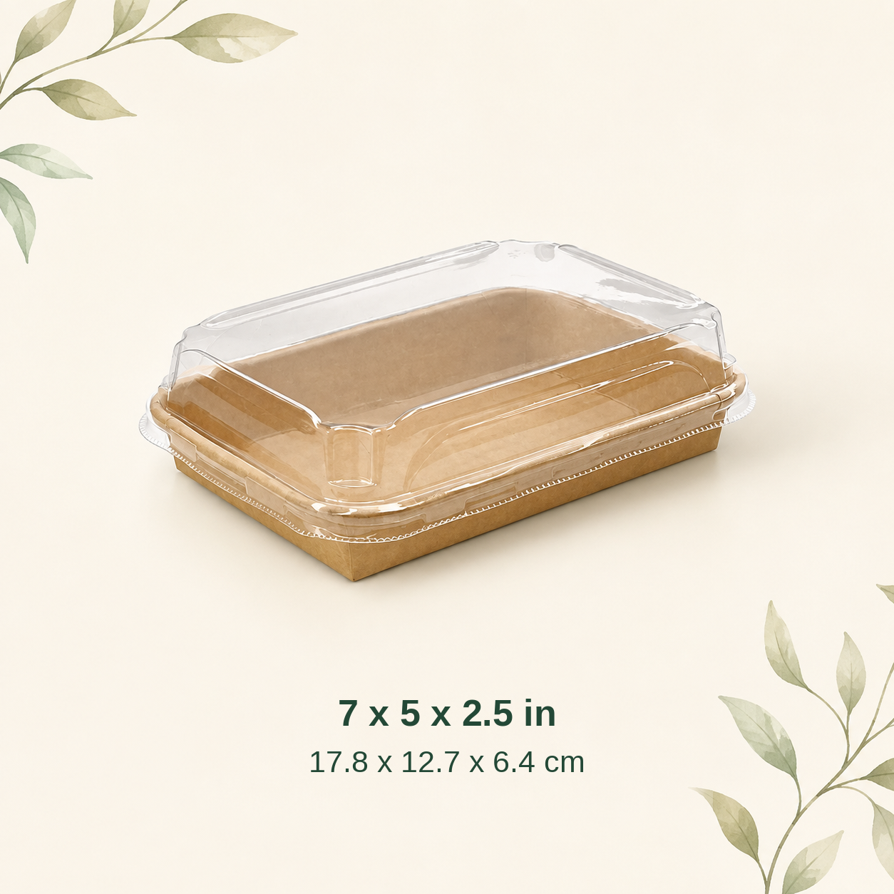 Kraft clear lid container