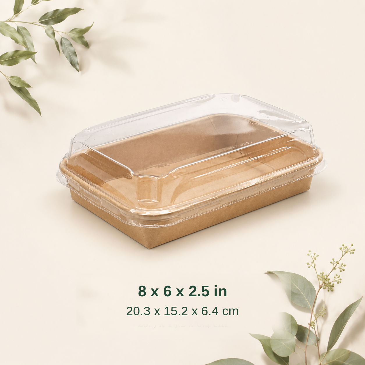 Kraft clear lid container